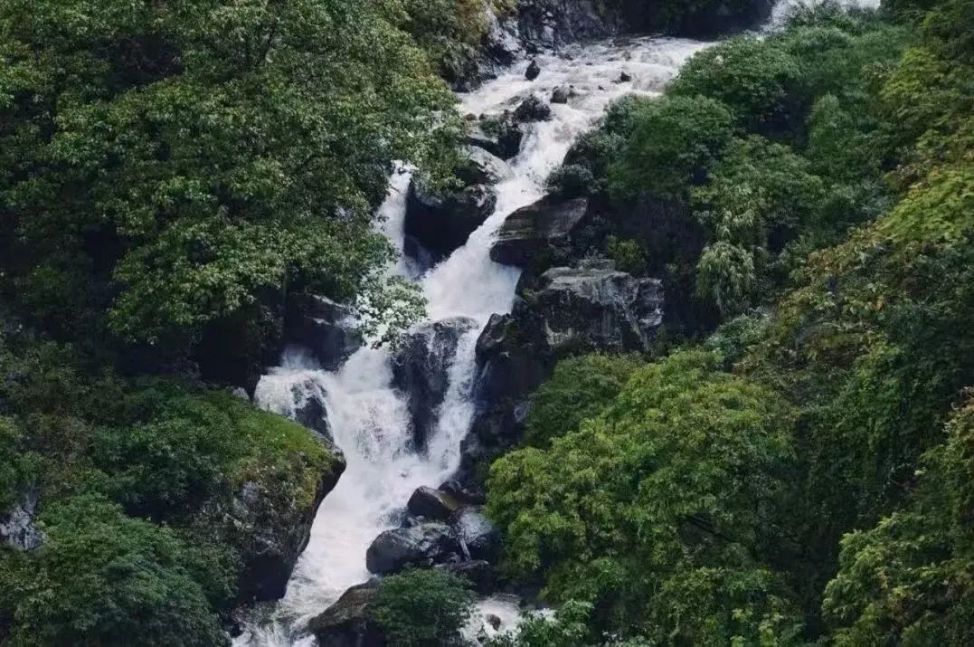 6c88b372f894948563ef818f23a8f25c-sz_262055 6c88b372f894948563ef818f23a8f25c-sz_262055