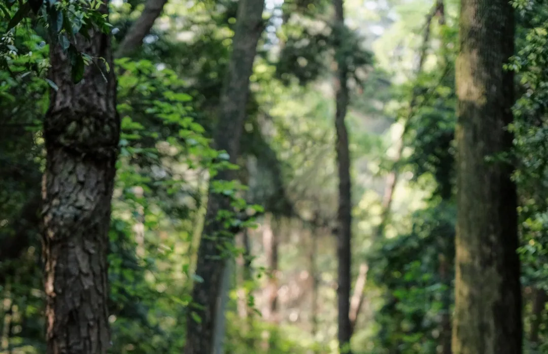 6c9c33d228a21c95a2cbba9562a6ed61-sz_641847 6c9c33d228a21c95a2cbba9562a6ed61-sz_641847