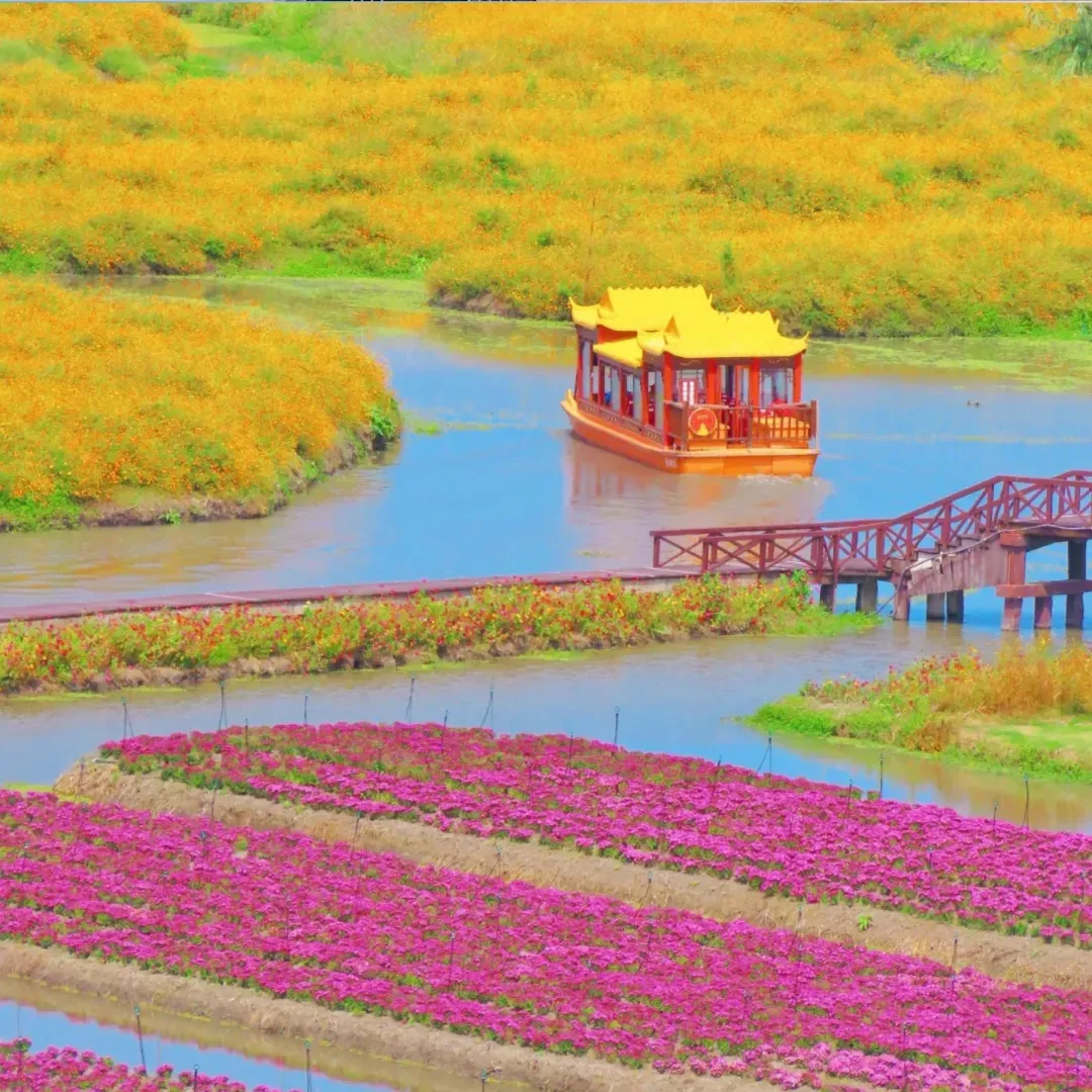 6cb1b38ce2d25a73cde85ac562798dbc-sz_1813252