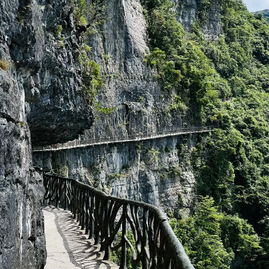 6cc7befff9adeaacff31ce119f6a344e-sz_909803 6cc7befff9adeaacff31ce119f6a344e-sz_909803