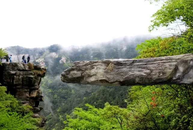 6da8807087e5516cfcbaa98357b5ca79-sz_488420