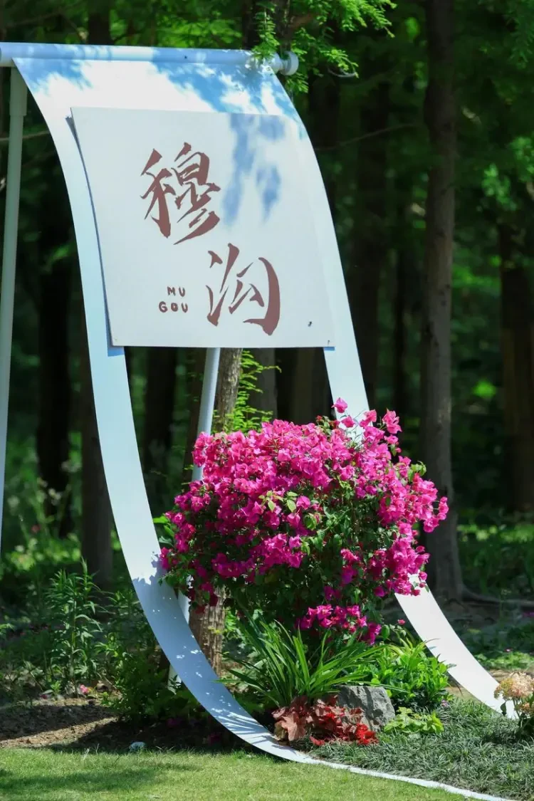 6db579b2cd0d3a713bfbd9b92405ccef-sz_168230