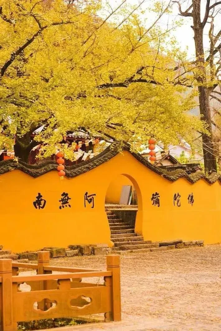 6dbe9b07e7c690c1ca4a1f8a00d5dba4-sz_1773831 6dbe9b07e7c690c1ca4a1f8a00d5dba4-sz_1773831