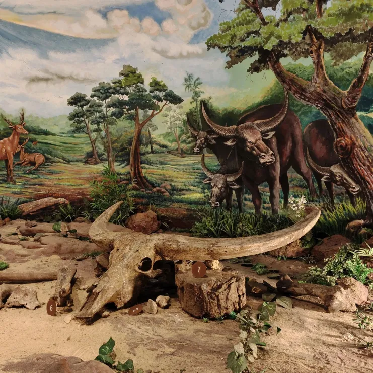 6de002214326a55fdf759ba276c0bc4c-sz_2385216 6de002214326a55fdf759ba276c0bc4c-sz_2385216