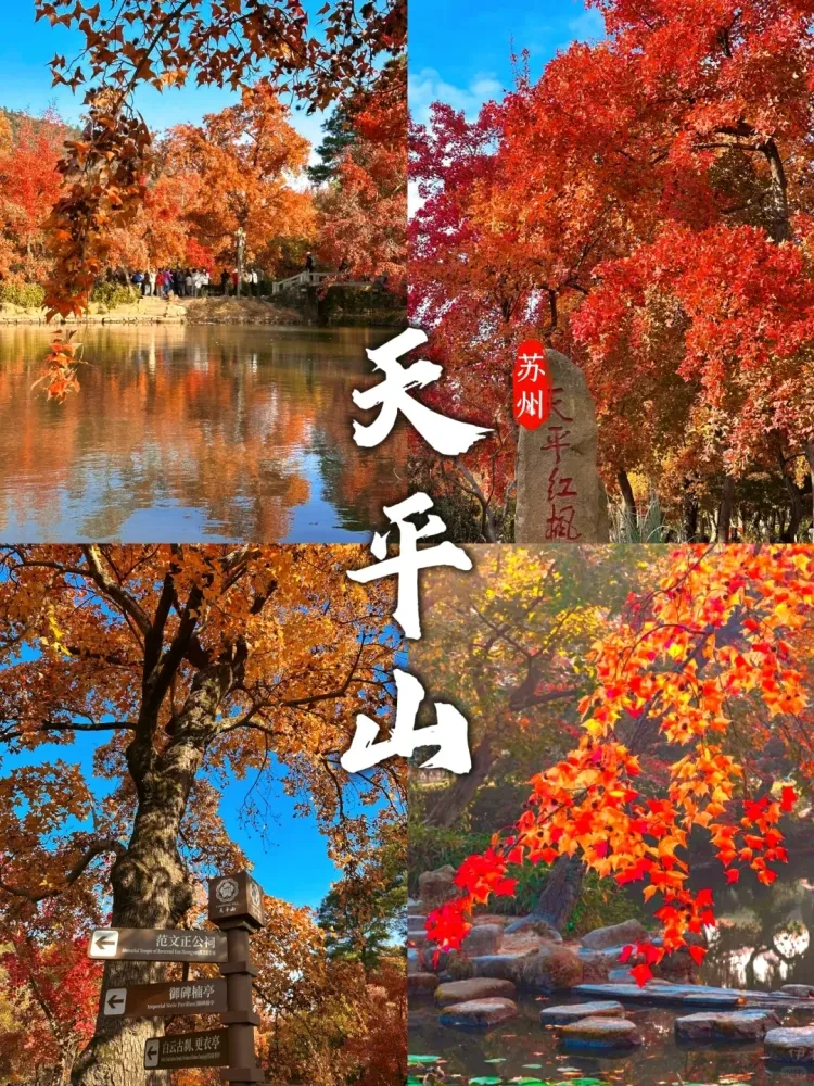 6e01f8e908691a51d71ee36339731f08-sz_4252646 6e01f8e908691a51d71ee36339731f08-sz_4252646