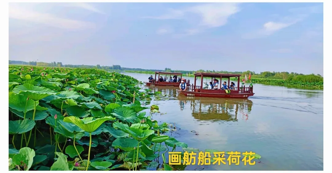【国秀琅琊城 | 畅游鲁南大地】：看临沂国秀琅琊演艺-穿越时空二千年-微山湖游船-枣庄冠世榴园-探访红嫂故里-”跟着团打县城”-世外桃源竹泉村-卧去动回六日游
