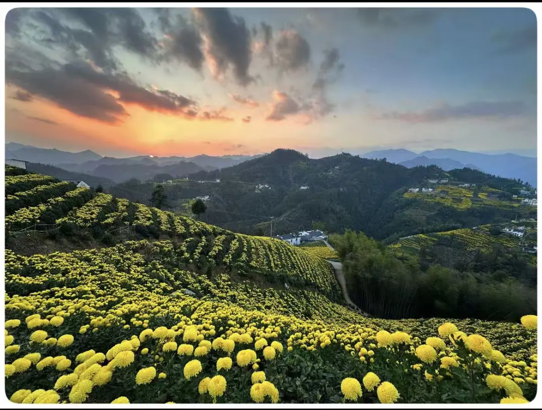 6e3aecbf95568b604f2c8dc5991581fe-sz_233455-1 6e3aecbf95568b604f2c8dc5991581fe-sz_233455-1