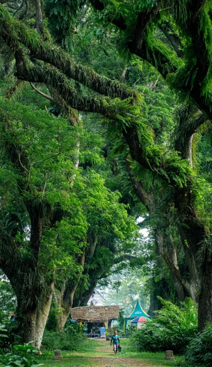 6e625d389caba2d4360f853c1c4bb8fd-sz_608752 6e625d389caba2d4360f853c1c4bb8fd-sz_608752