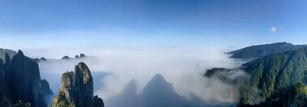 6e6ef0d97562a36a6af4738f07bc8174-sz_64337 6e6ef0d97562a36a6af4738f07bc8174-sz_64337