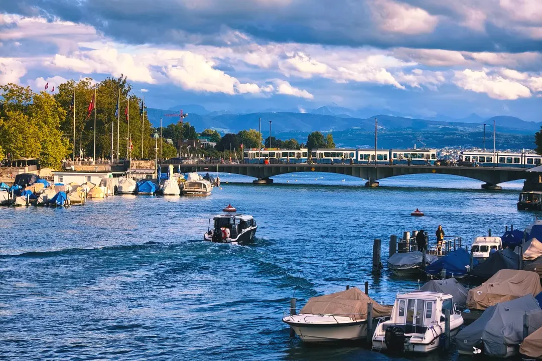 6e9ea5a064cc19f1df646f81bbcb90e9-sz_2649135