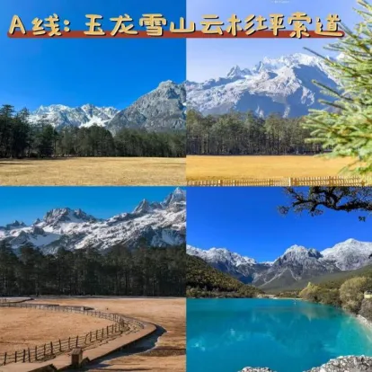 6f0cb4688ec080f177702c6c093198f5-sz_687183