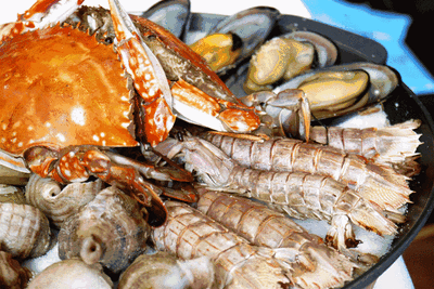 6f253420ddafd1d1dc8206252d345a8f-sz_270785-1 6f253420ddafd1d1dc8206252d345a8f-sz_270785-1