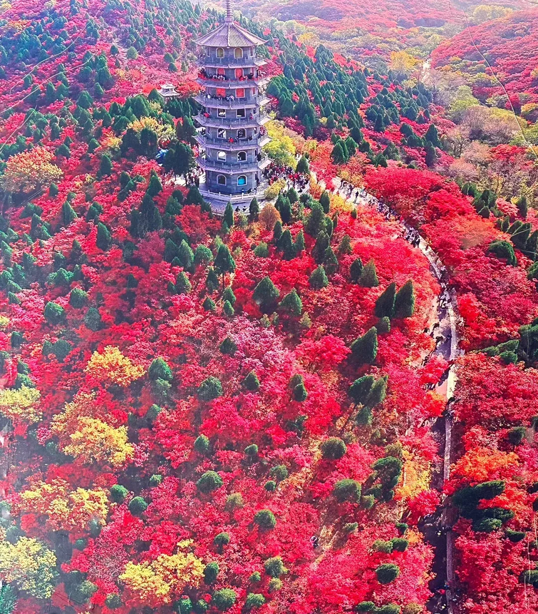 什么叫天花板🍁『四钻南京！全程大巴·5天连住曙光薇-赏枫天花板，牛首山含！栖霞山含！』4早7正，再升级一餐牛排自助，牛首山·栖霞山·达摩古洞门票全含！夜游夫子庙，玄武湖等精华景点599