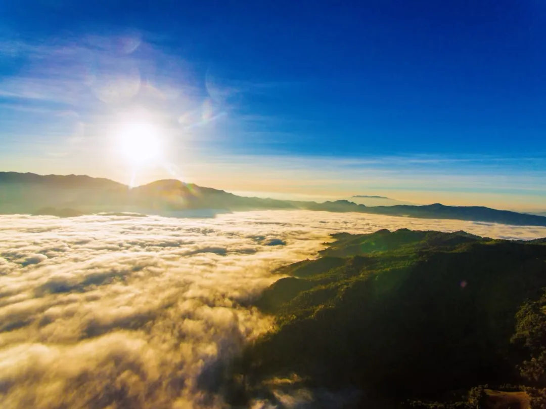 7087f9c9311e224f278c30b237e8a8c7-sz_233251 7087f9c9311e224f278c30b237e8a8c7-sz_233251