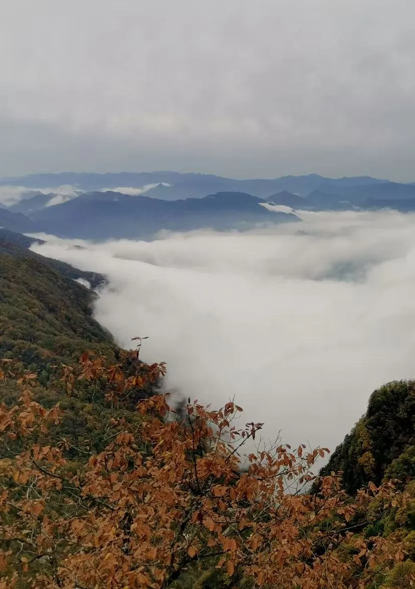 70cda5dc0195cab72b71f453df7b6320-sz_1361362