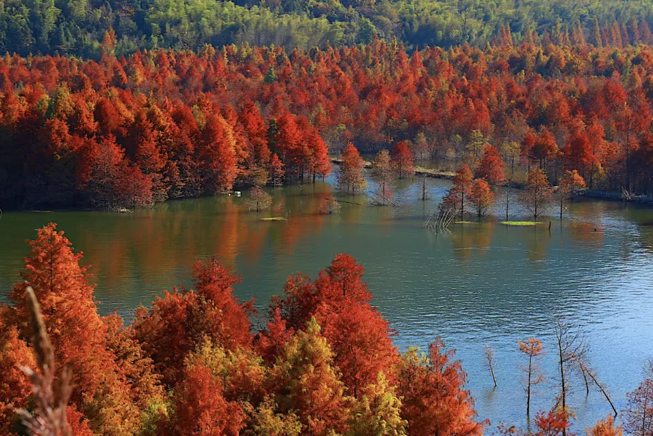 70fde7c9b7edd0f423355bc4e9912814-sz_1414338 70fde7c9b7edd0f423355bc4e9912814-sz_1414338