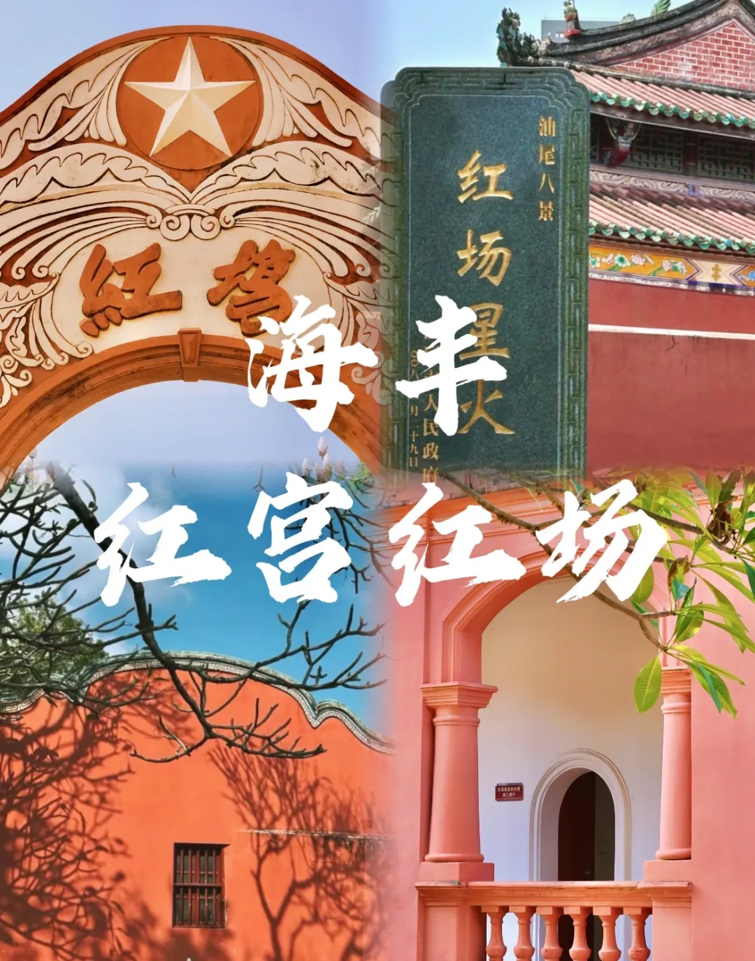 7124122019eb515b55c9dba65fa6d0bd-sz_504056