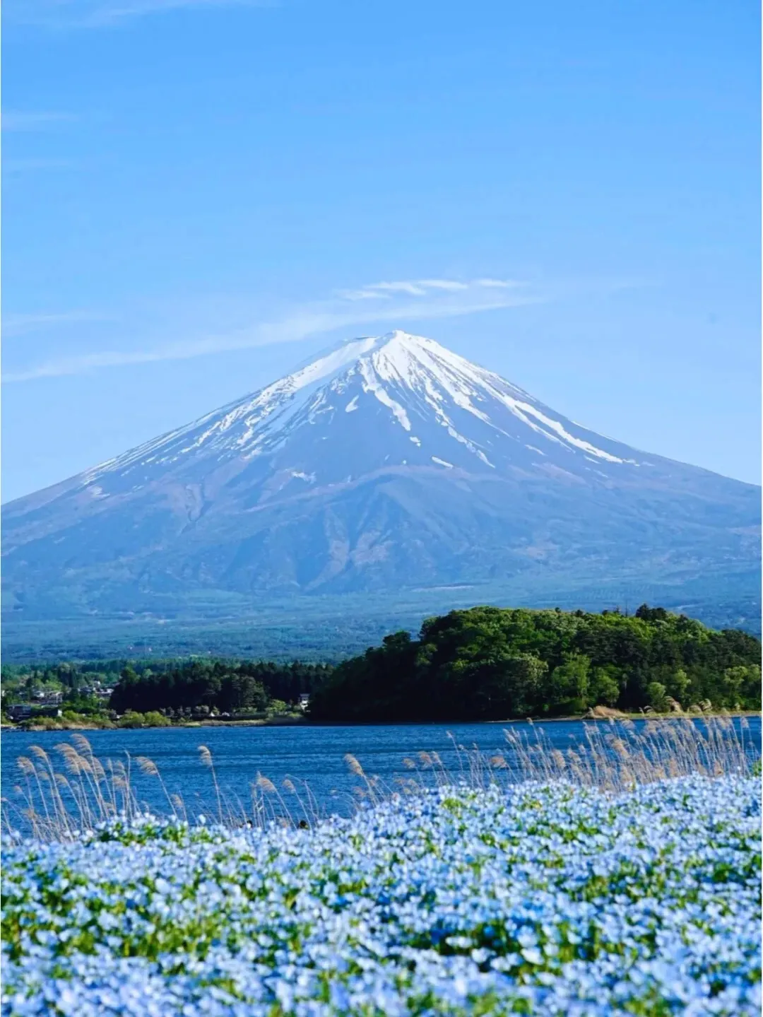 7137356e4a133695de2efebf053b5695-sz_304687 7137356e4a133695de2efebf053b5695-sz_304687