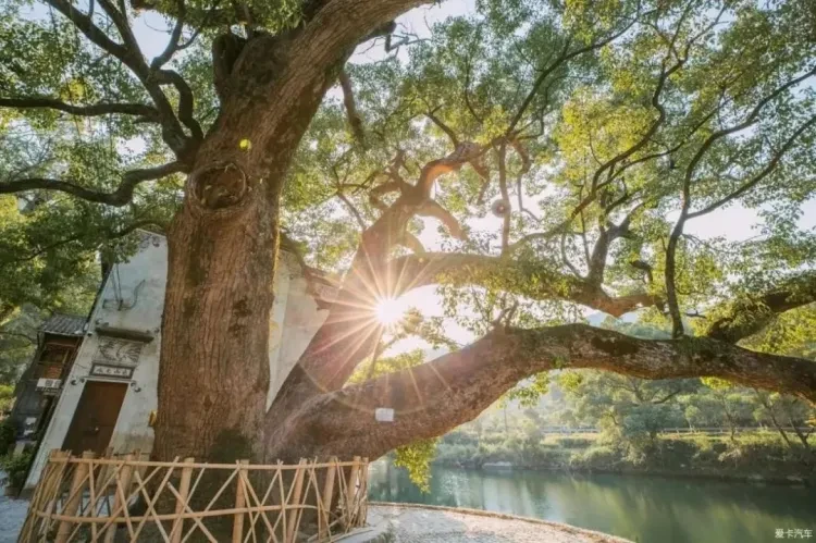 713d5162296f00c82bdd22b8dc1fe5f7-sz_193999 713d5162296f00c82bdd22b8dc1fe5f7-sz_193999