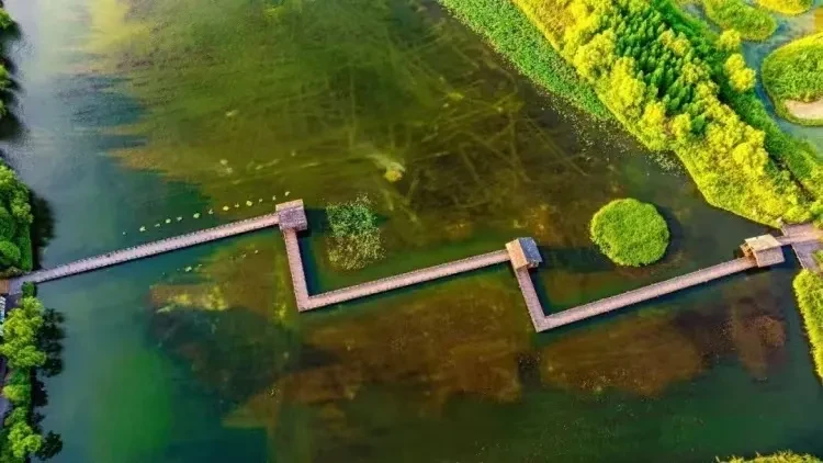 71e7a74aa71b24e7b31ff22611a01dd4-sz_118600 71e7a74aa71b24e7b31ff22611a01dd4-sz_118600