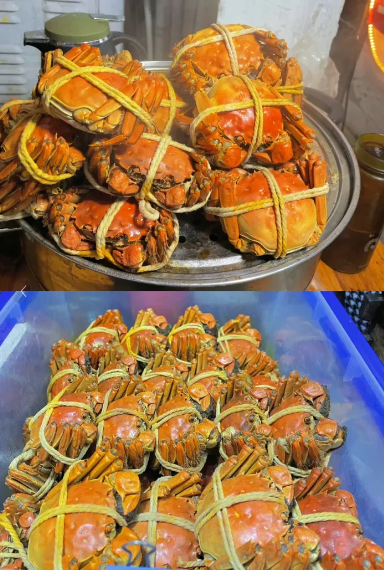 72399514b04c21e52c6bf362d06a49dd-sz_2688911-1