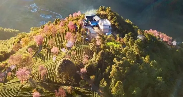 7264dcb2349b801399676ce590f25815-sz_237467-1