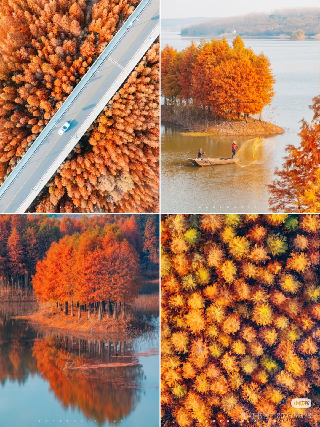 727a7eef91aa23a8d6bb9e589fa32548-sz_1850449