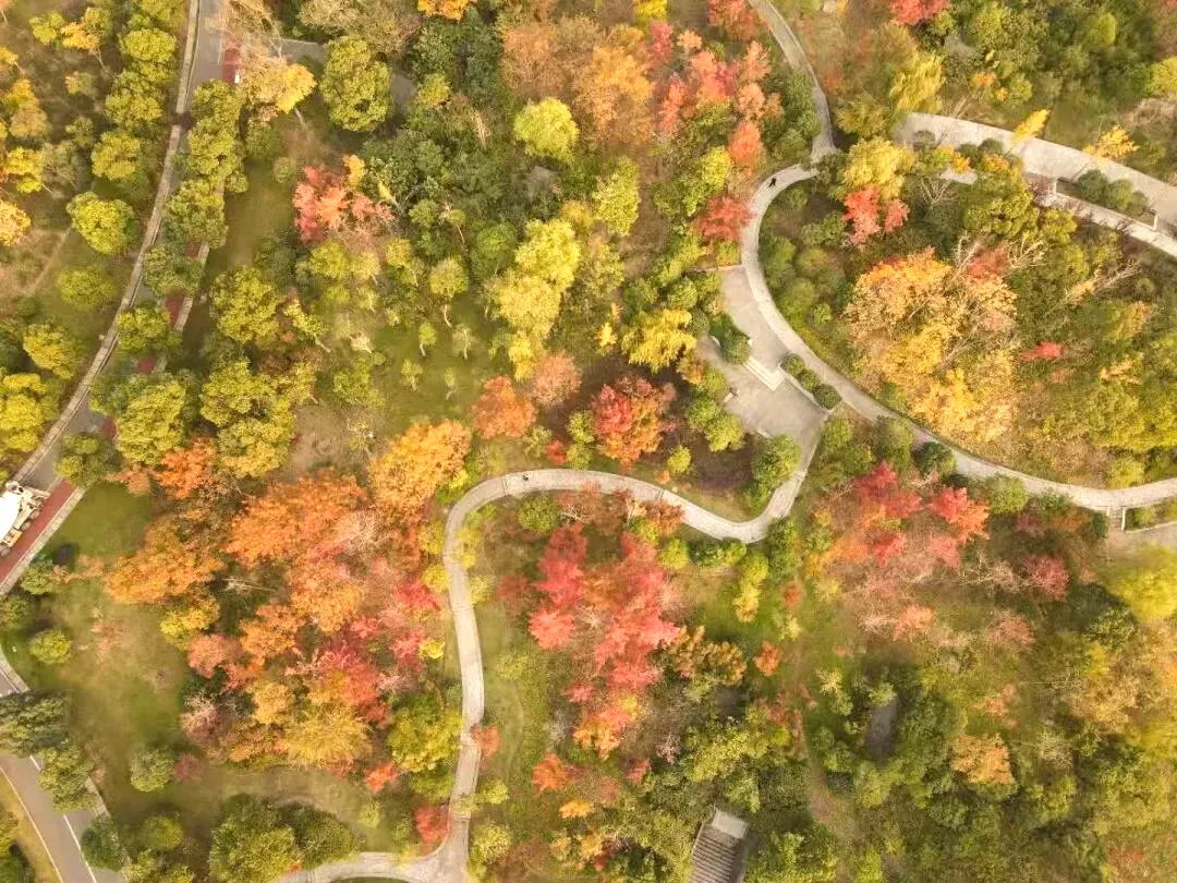 728ad512d2c62ab487f2ba912c484442-sz_2041492 728ad512d2c62ab487f2ba912c484442-sz_2041492