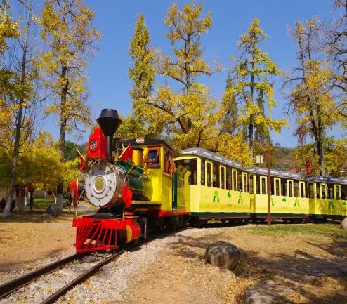 72a70c1b8e41f5030d67bab6b380189c-sz_62682