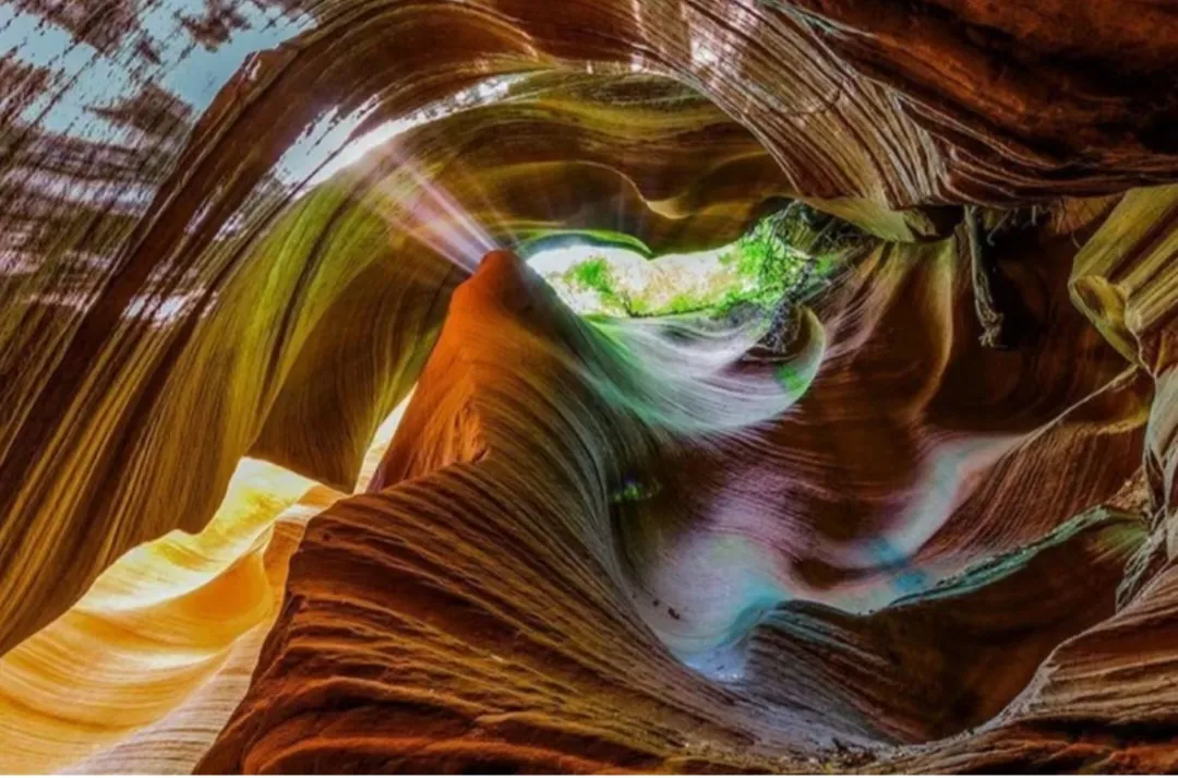 73322e7c94bba0acd02279abeb122d2d-sz_362738-1