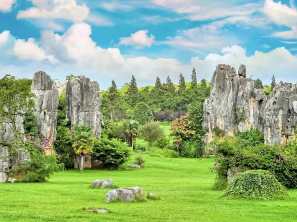 733c98f75e668a6e3da7c70ab9503a54-sz_294200 733c98f75e668a6e3da7c70ab9503a54-sz_294200