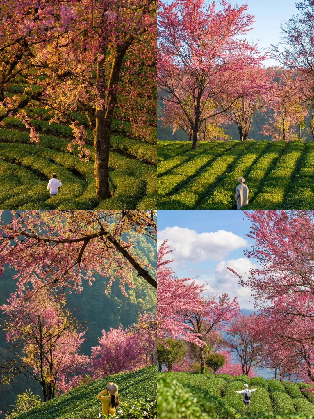 7380a65ae7a749ed36f34e37e5496452-sz_4192073