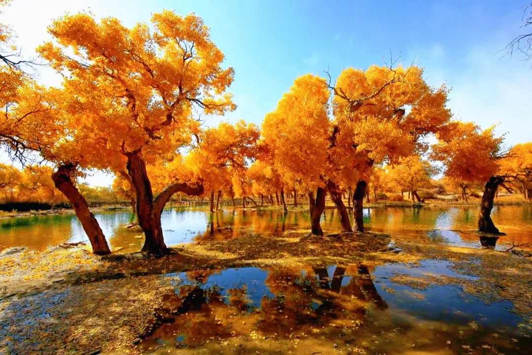 738343bb17bef25fb3506baee3ffedb5-sz_2195651 738343bb17bef25fb3506baee3ffedb5-sz_2195651