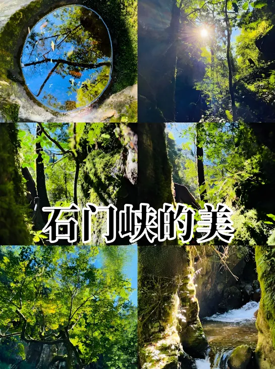 73e80f6524b87de61b7278369e025ee3-sz_988916 73e80f6524b87de61b7278369e025ee3-sz_988916