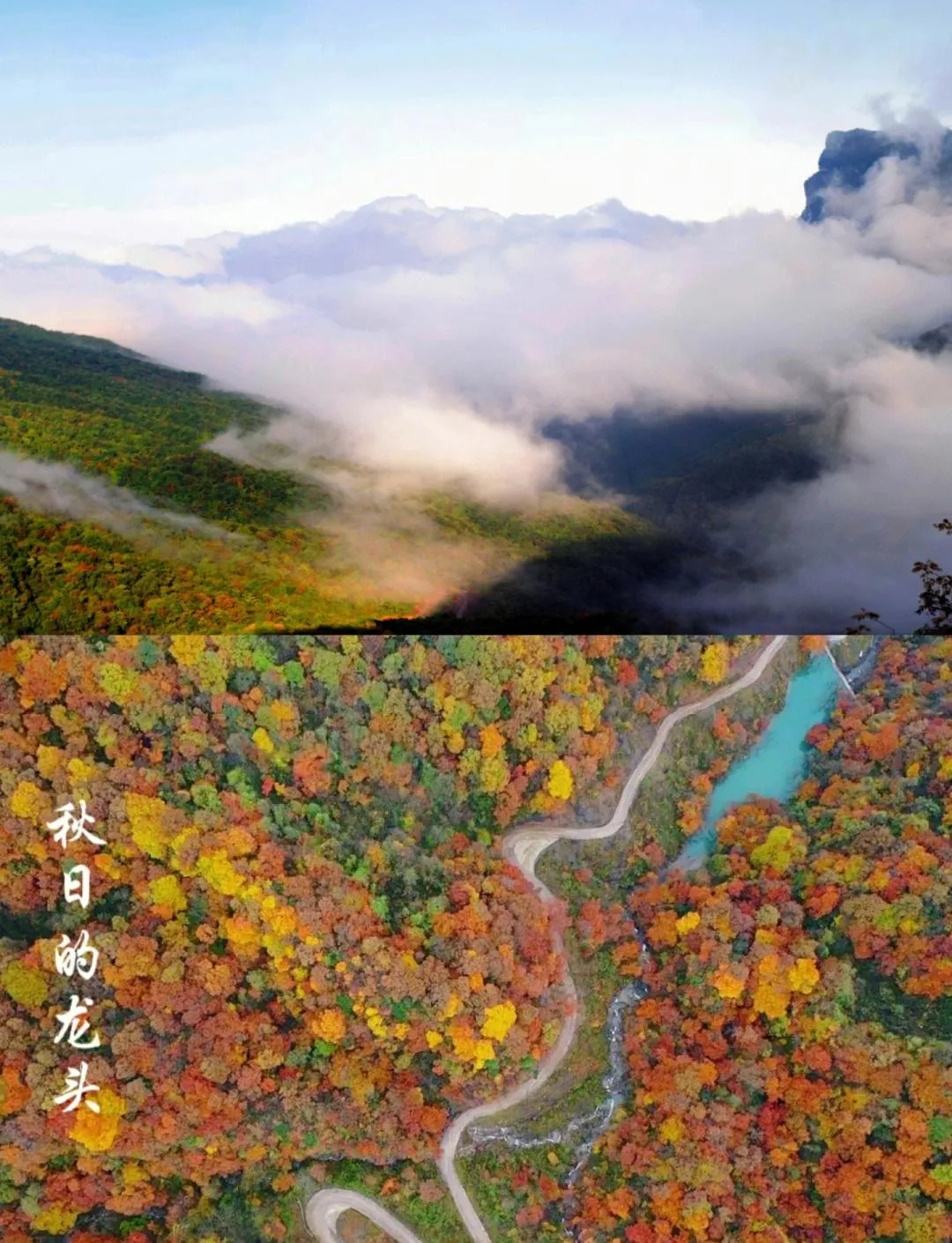 7473f9d114583c9550f9c4592bde3db9-sz_734561-2 7473f9d114583c9550f9c4592bde3db9-sz_734561-2