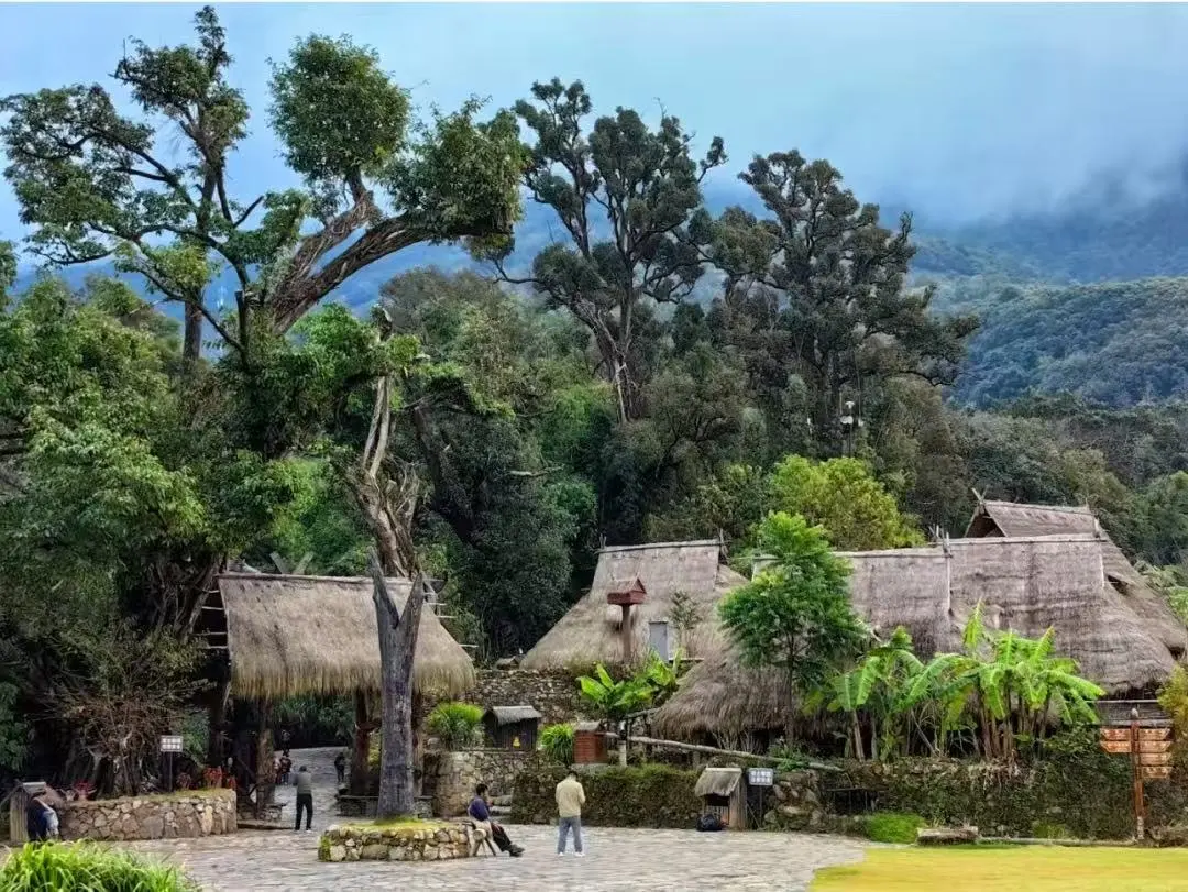 74a2746795675524d8db123de32e76a0-sz_201941 74a2746795675524d8db123de32e76a0-sz_201941