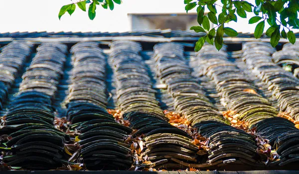 74d9dab3cc134bdf3f5e556257a5cc78-sz_195653 74d9dab3cc134bdf3f5e556257a5cc78-sz_195653