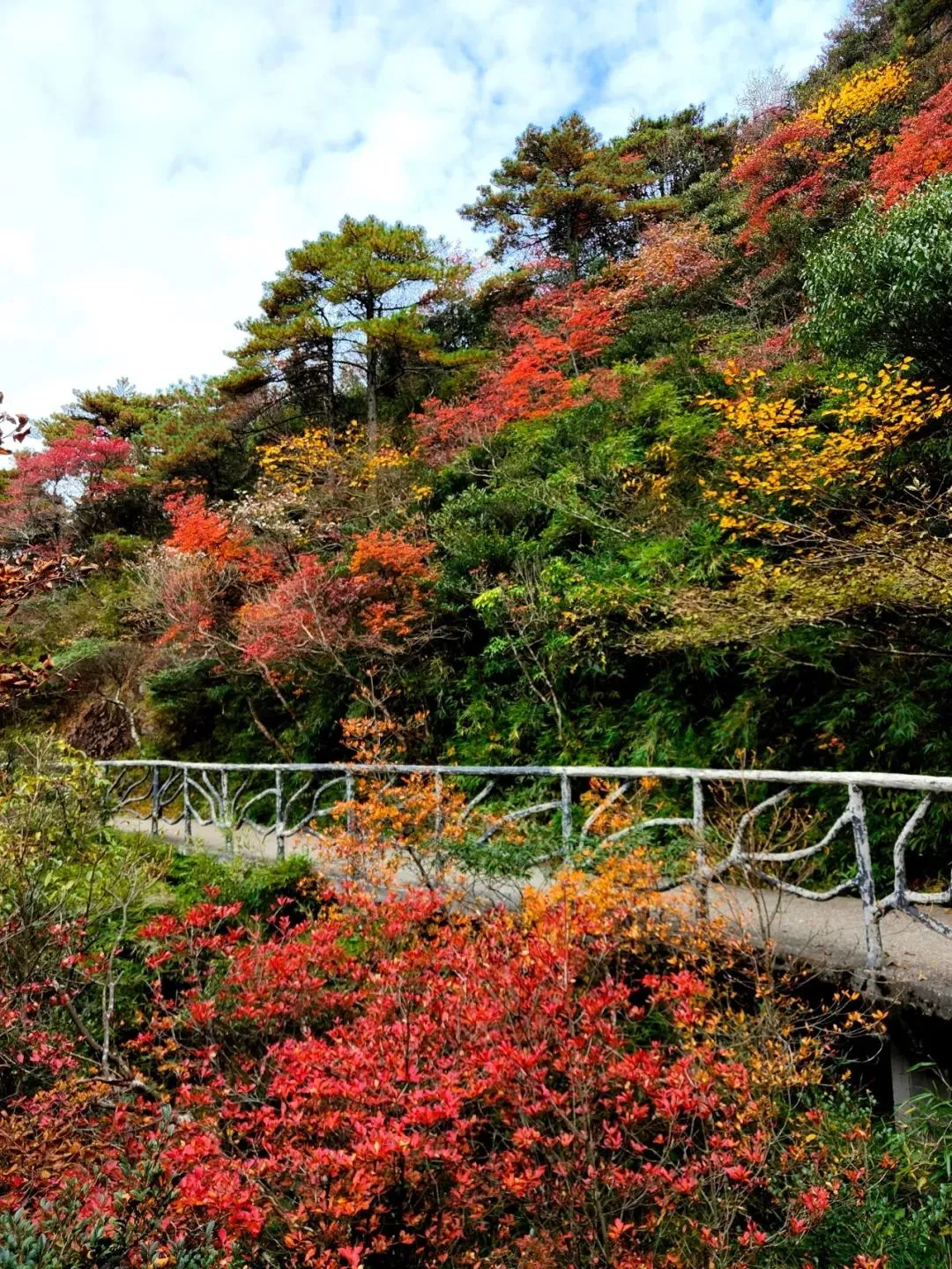 751bf452f66a53d7d81160a17bb50a97-sz_455083 751bf452f66a53d7d81160a17bb50a97-sz_455083