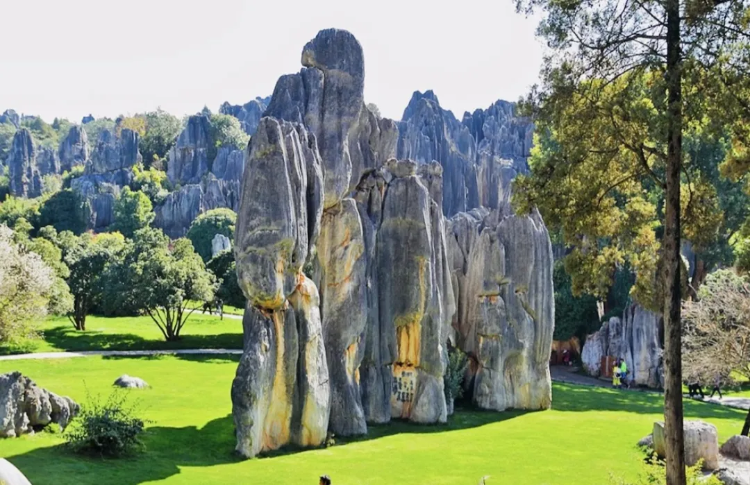 76323a0c9638879897901e83fa5ed9de-sz_382446