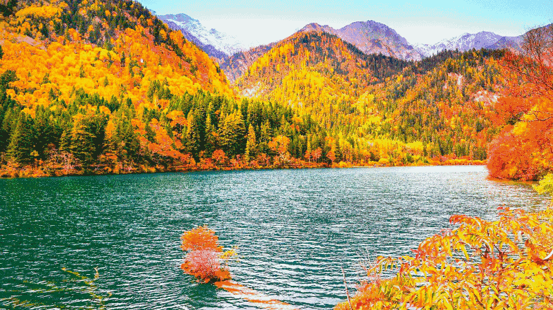 763e3313217d71b964ec0d0b94cdf9e8-sz_355520 763e3313217d71b964ec0d0b94cdf9e8-sz_355520