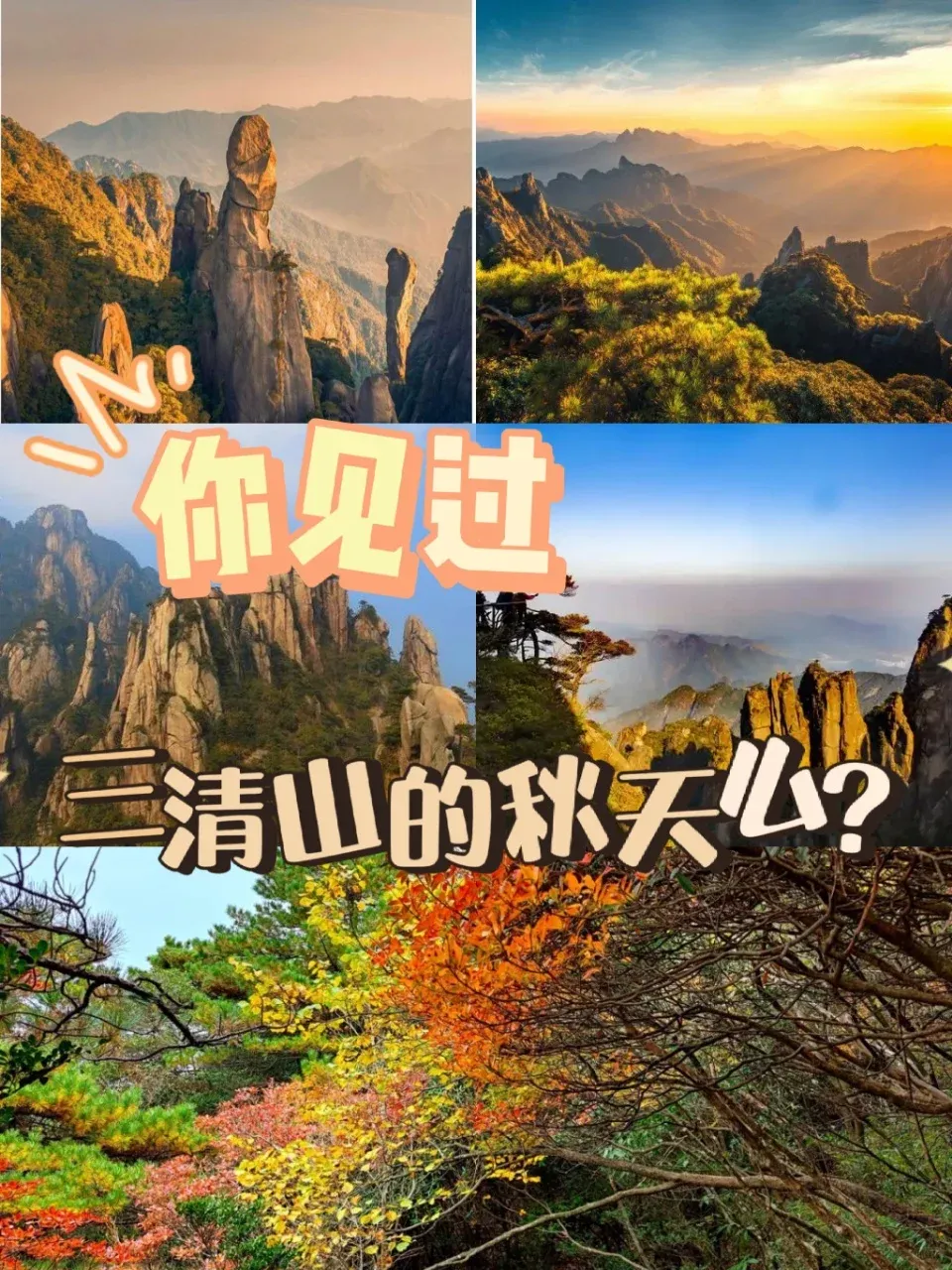 764b5841f3ef59f8a95ede6a29c1af03-sz_2683750-1