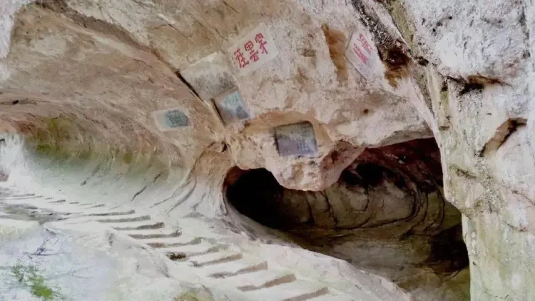 76518bb24238ef624b15a2d4880479ba-sz_103828 76518bb24238ef624b15a2d4880479ba-sz_103828