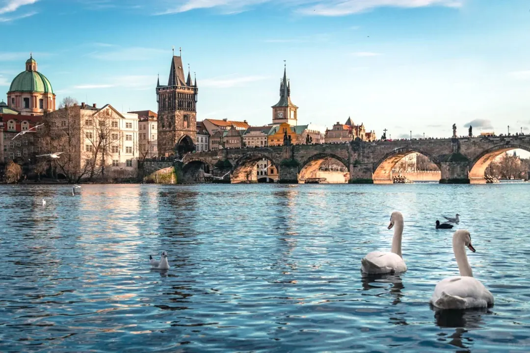 7657ede15ac64cd77ed2c0383e4de3b1-sz_650531-1 7657ede15ac64cd77ed2c0383e4de3b1-sz_650531-1