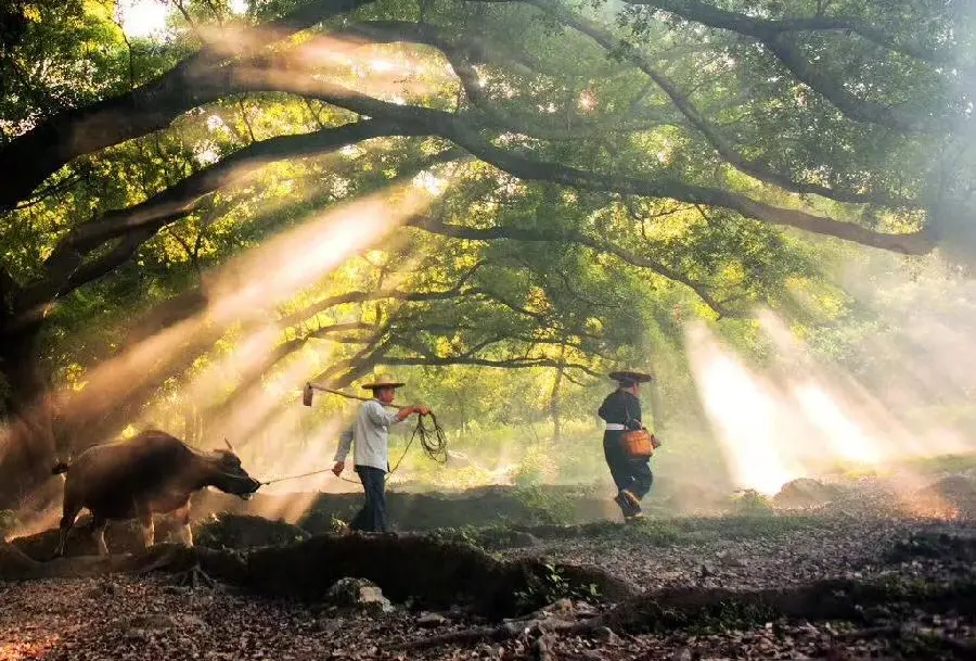 768e3f3c641d550f66c50f7d5ccbf6b1-sz_147961 768e3f3c641d550f66c50f7d5ccbf6b1-sz_147961