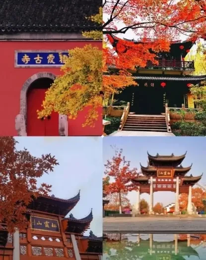 770209fbde00f31411936cddc5533a25-sz_538255 770209fbde00f31411936cddc5533a25-sz_538255