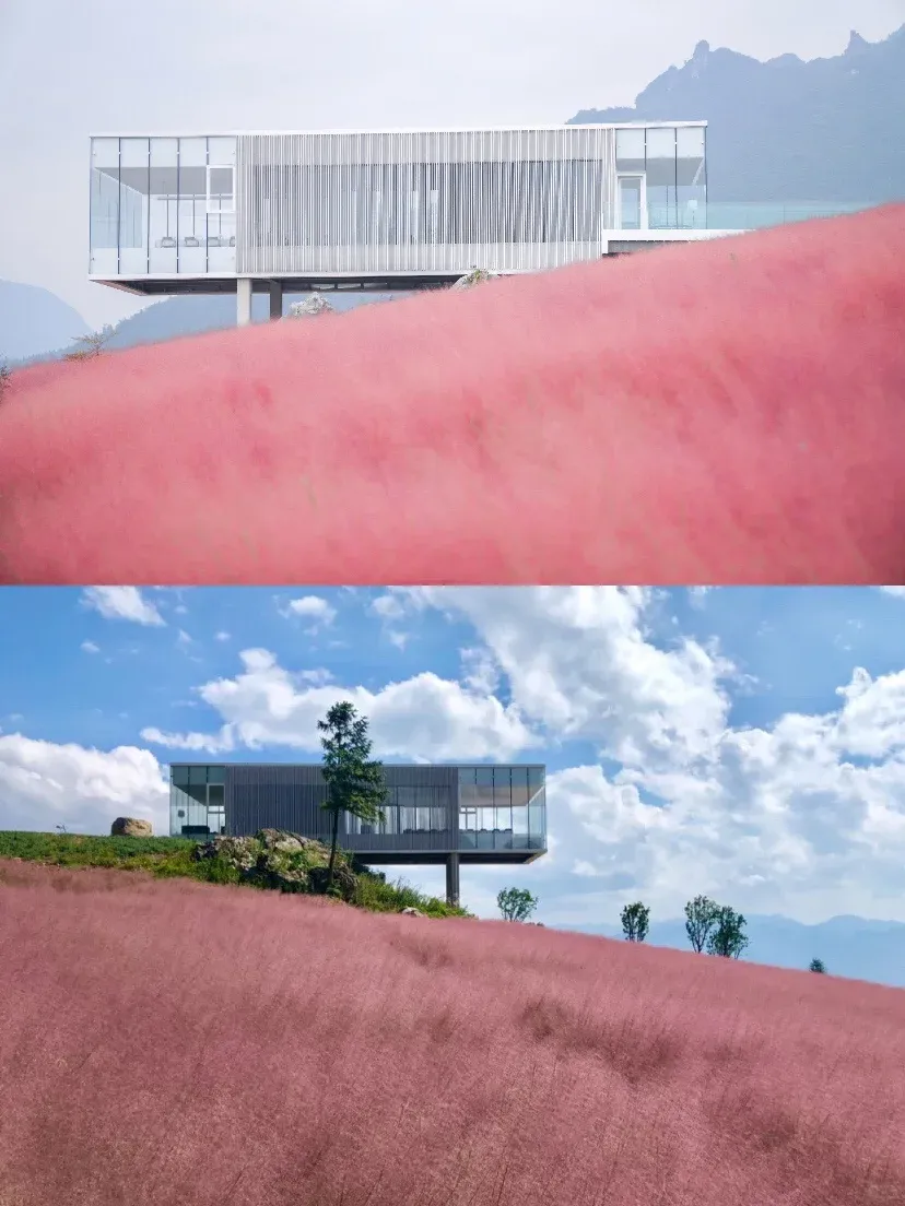 7735e5822312819ba067c3b6688e472f-sz_1009670 7735e5822312819ba067c3b6688e472f-sz_1009670