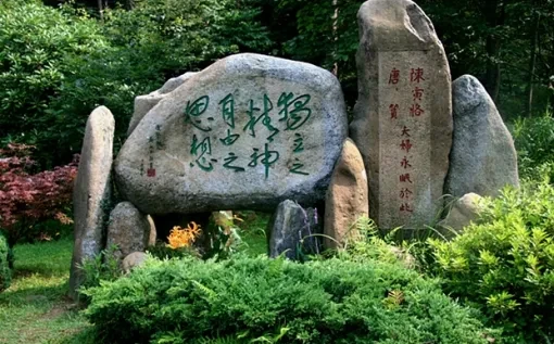 774d02dbbe4191d91594ae837fe05c84-sz_411965