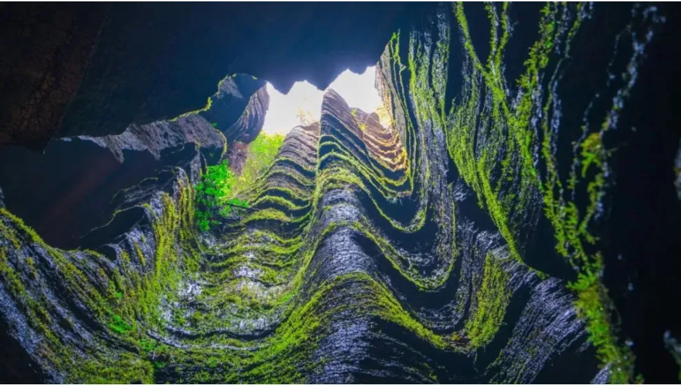 7758f743a36c294ddb6d76646c87ddab-sz_1318749