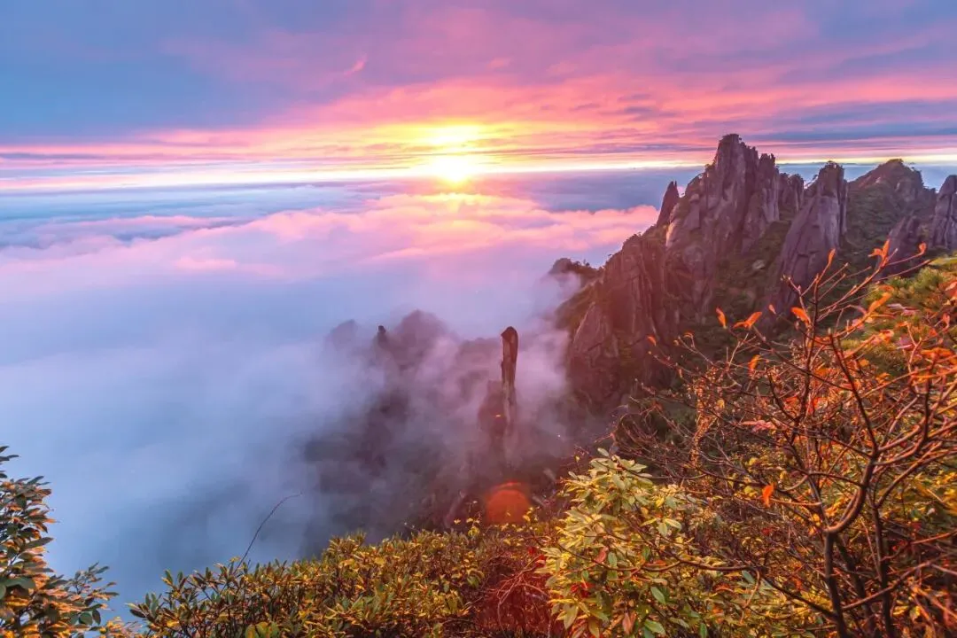 7769e70ed7e0dacb626651d15968fc1d-sz_123089-2