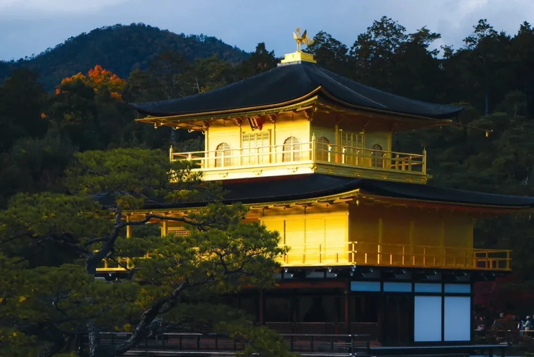 784176074b639a7765ee67fe787b2067-sz_353913 784176074b639a7765ee67fe787b2067-sz_353913